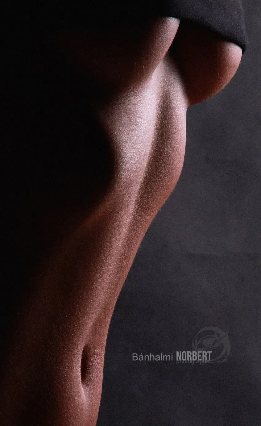 Best of — the reference gallery