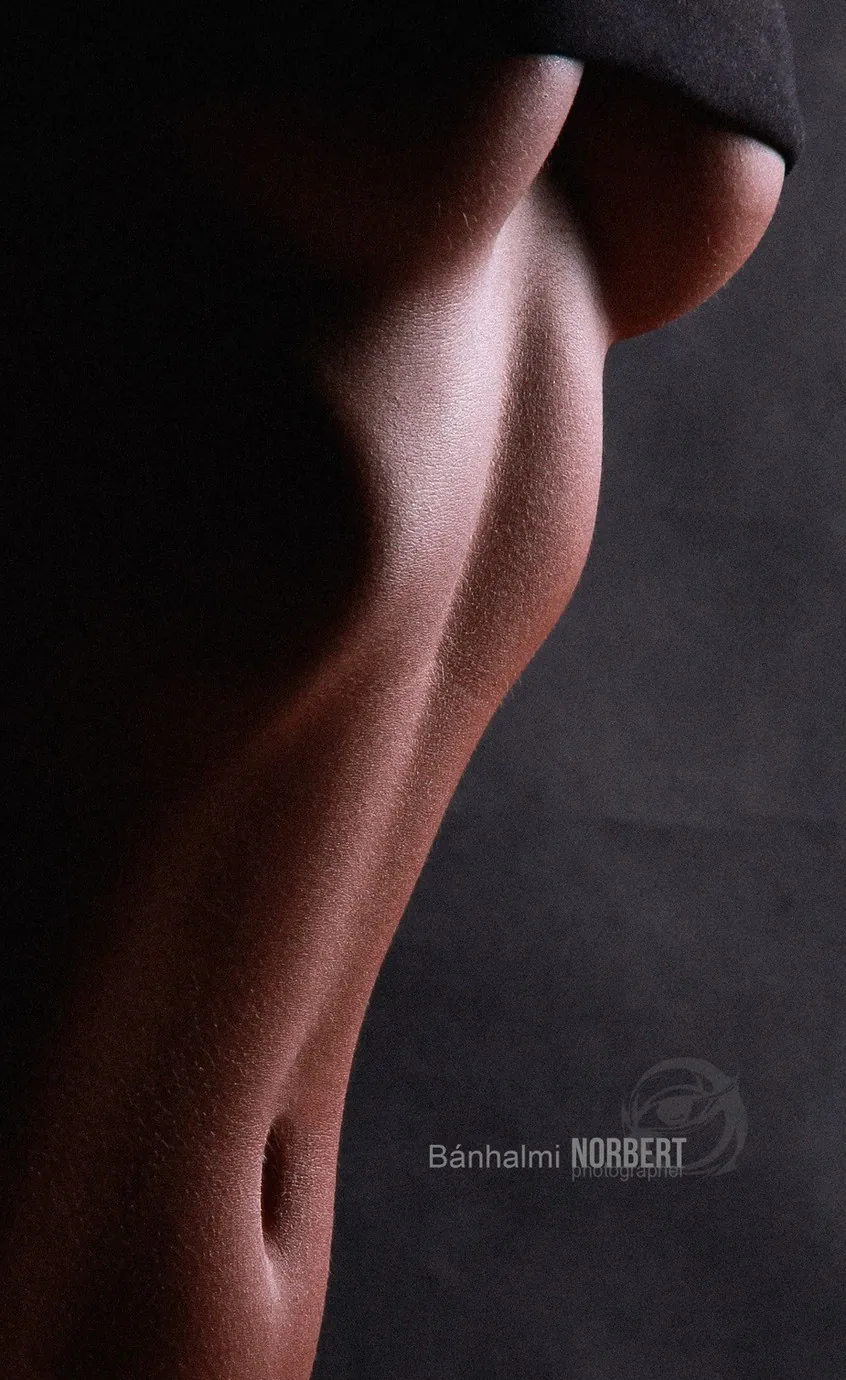Best of — the reference gallery